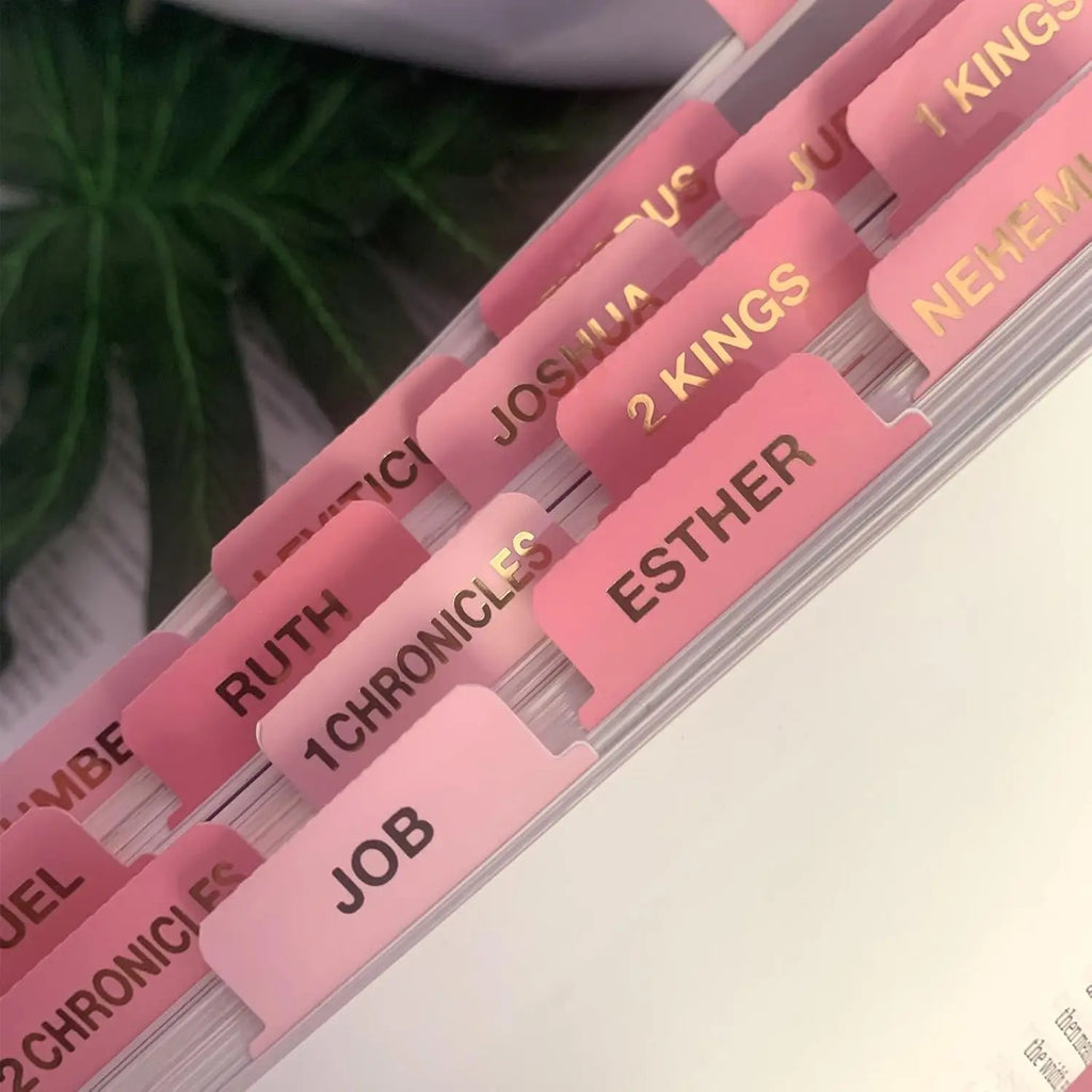 Laminated Bible Tabs, 66 Book Index
