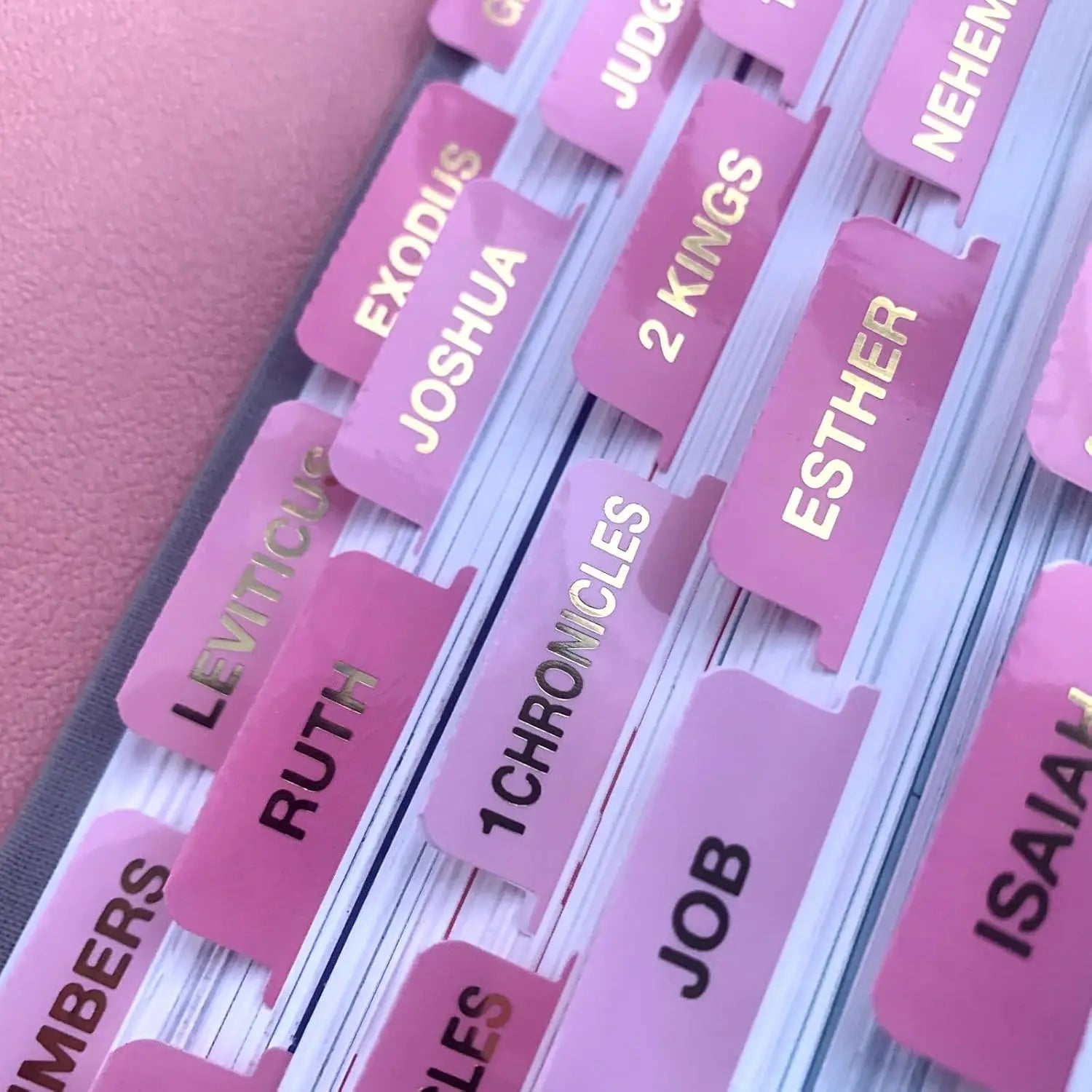 Laminated Bible Tabs, 66 Book Index